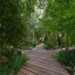 Forest Parkette photo 9